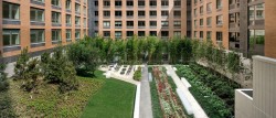 Hells Kitchen Garden